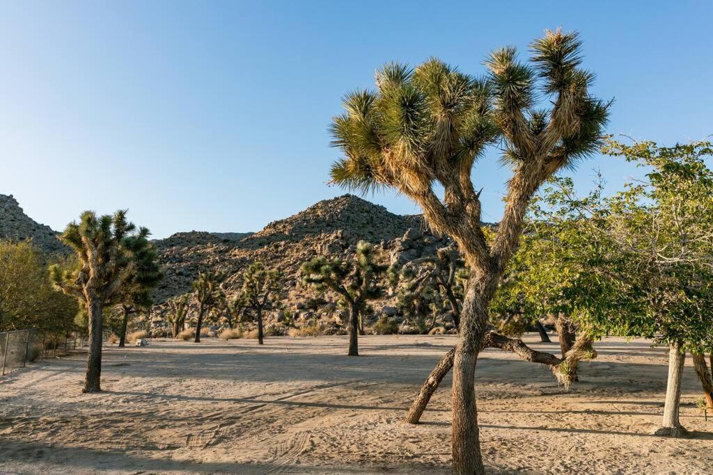 The Way Out Ranch. Escape To Solitude On 2.5 Acres Villa Joshua Tree Eksteriør bilde