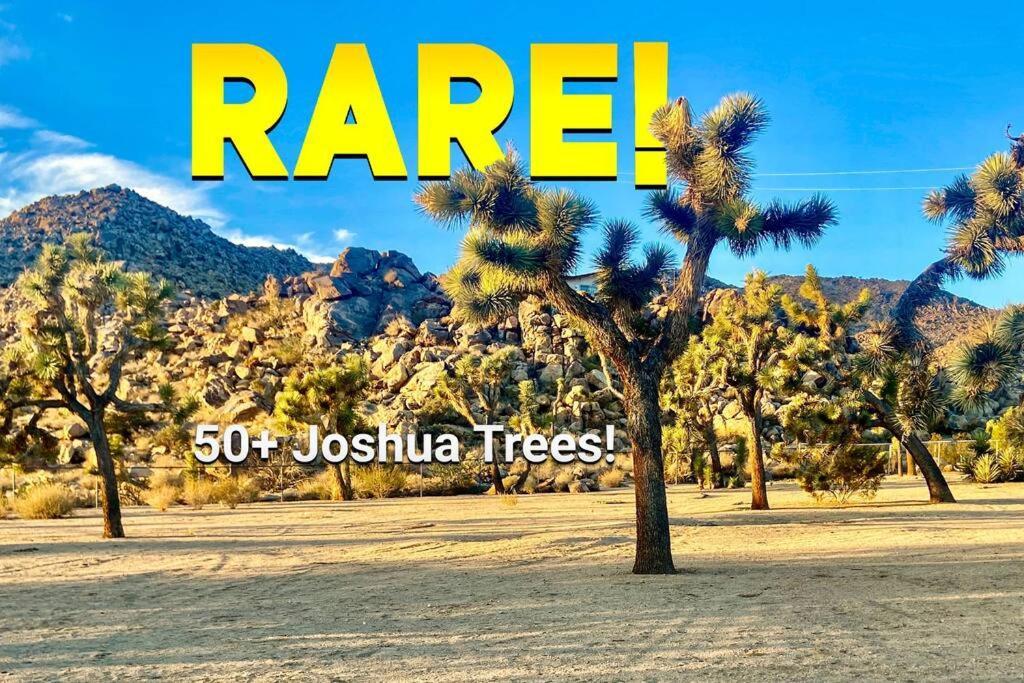 The Way Out Ranch. Escape To Solitude On 2.5 Acres Villa Joshua Tree Eksteriør bilde